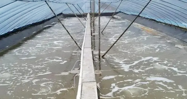 福建金刚虾养殖增氧项目